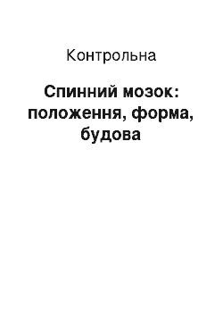 Контрольная: Спинний мозок: положення, форма, будова