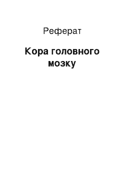 Реферат: Кора головного мозку