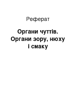 Реферат: Органи чуттів. Органи зору, нюху і смаку