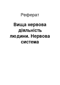 Реферат: Вища нервова діяльність людини. Нервова система