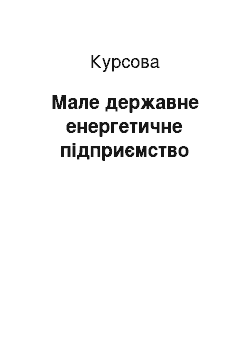 Курсовая: Мале державне енергетичне підприємство