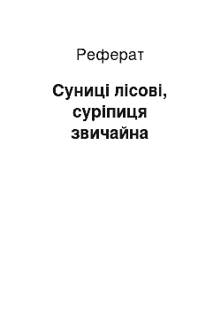 Реферат: Суниці лісові, суріпиця звичайна