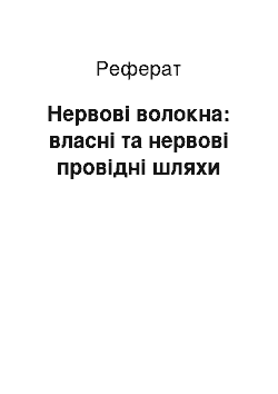 Реферат: Нервові волокна: власні та нервові провідні шляхи