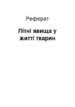 Реферат: Літні явища у житті тварин