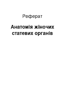 Реферат: Анатомія жіночих статевих органів