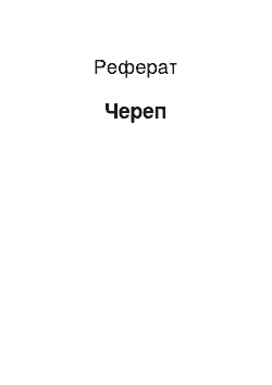 Реферат: Череп