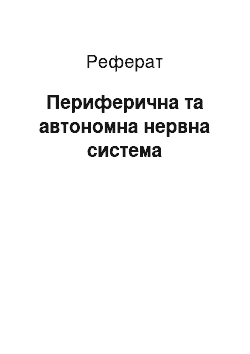 Реферат: Периферична та автономна нервна система