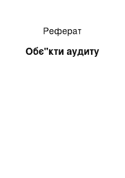 Реферат: Обє"кти аудиту