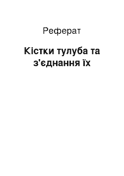 Реферат: Кістки тулуба та з'єднання їх