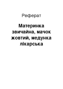 Реферат: Материнка звичайна, мачок жовтий, медунка лікарська