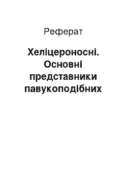 Реферат: Хеліцероносні. Основні представники павукоподібних