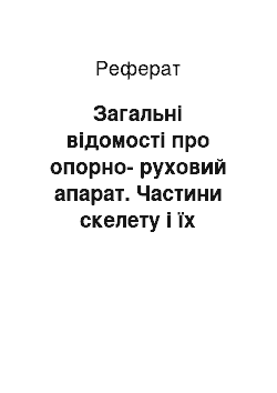 Реферат: Загальні відомості про опорно-руховий апарат. Частини скелету і їх розвиток