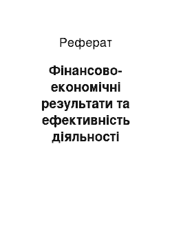 Реферат: Фінансово-економічні результати та ефективність діяльності