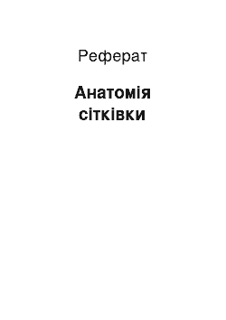 Реферат: Анатомія сітківки