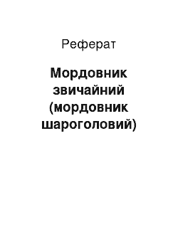 Реферат: Мордовник звичайний (мордовник шароголовый)