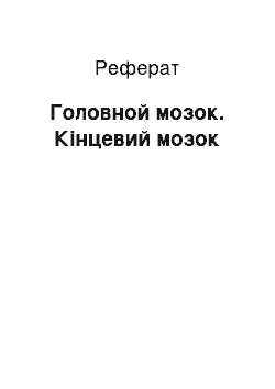 Реферат: Головной мозок. Кінцевий мозок