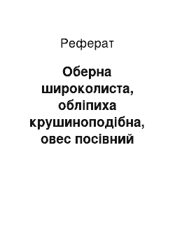 Реферат: Оберна широколиста, обліпиха крушиноподібна, овес посівний