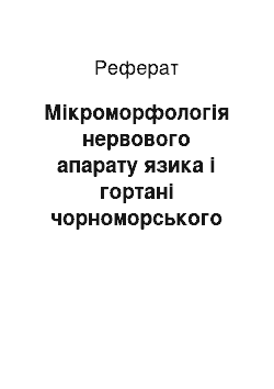 Реферат: Мікроморфологія нервового апарату язика і гортані чорноморського дельфіна-афаліни (Tursiops truncatus)