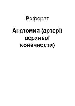 Реферат: Анатомия (артерії верхньої конечности)