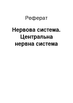 Реферат: Нервова система. Центральна нервова система