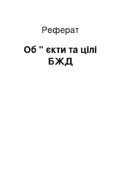 Реферат: Об " єкти та цілі БЖД