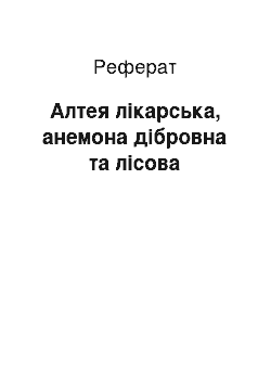 Реферат: Алтея лікарська, анемона дібровна та лісова