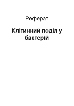 Реферат: Клітинний поділ у бактерій