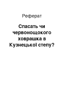 Реферат: Спасать чи червонощокого ховрашка в Кузнецької степу?