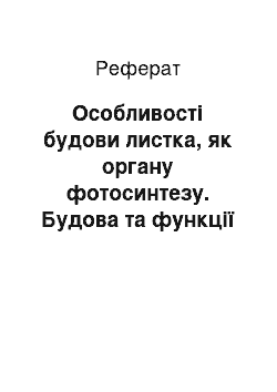 Реферат: Особливості будови листка, як органу фотосинтезу. Будова та функції хлоропластів