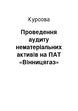 Курсовая: Проведення аудиту нематеріальних активів на ПАТ «Вінницягаз»