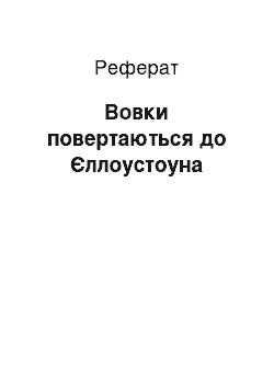 Реферат: Волки повертаються до Йеллоустоун