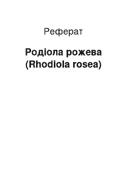 Реферат: Родіола рожева (Rhodiola rosea)