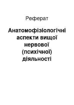 Реферат: Анатомофізіологічні аспекти вищої нервової (психічної) діяльності