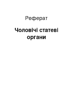 Реферат: Чоловічі статеві органи