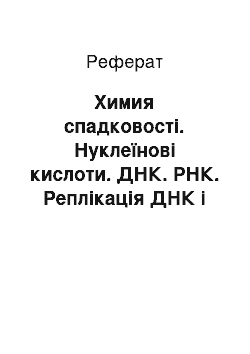 Реферат: Химия спадковості. Нуклеїнові кислоти. ДНК. РНК. Реплікація ДНК і передачі спадкової информации