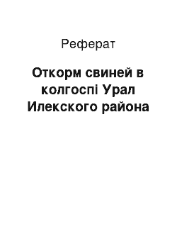 Реферат: Откорм свиней в колгоспі Урал Илекского района