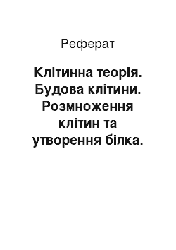 Реферат: Клітинна теорія. Будова клітини. Розмноження клітин та утворення білка. З'єднання клітин та міжклітинна речовина