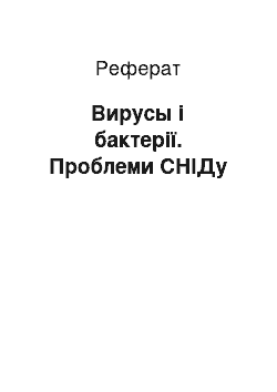 Реферат: Вирусы і бактерії. Проблеми СНІДу