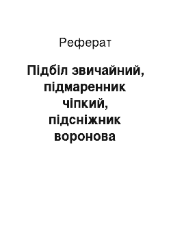 Реферат: Підбіл звичайний, підмаренник чіпкий, підсніжник воронова