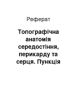 Реферат: Топографічна анатомія середостіння, перикарду та серця. Пункція перикарду. Операції на серці і стравоході. Хірургічна анатомія вроджених вад серця, великих судин і стравоходу та принципи їх оперативного лікування