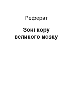 Реферат: Зони кори великого мозку