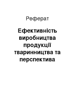 Реферат: Ефективність виробництва продукції тваринництва та перспектива розвитку галузі