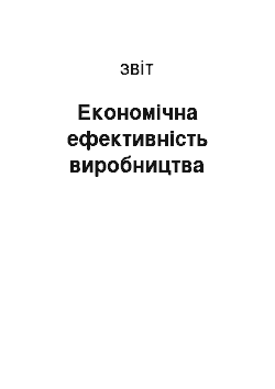 Отчёт: Економічна ефективність виробництва