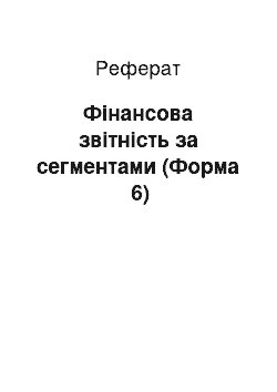 Реферат: Фінансова звітність за сегментами (Форма №6)