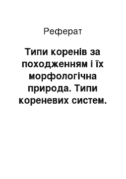 Реферат: Типи коренів за походженням і їх морфологічна природа. Типи кореневих систем. Форми кореня