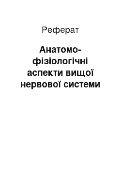 Реферат: Анатомо-фізіологічні аспекти вищої нервової системи