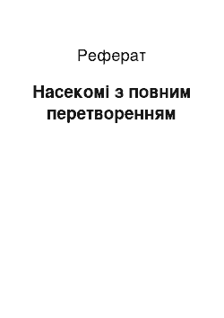 Реферат: Комахи з повним перетворенням