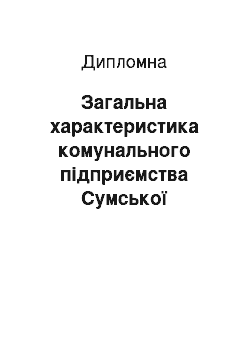 Дипломная: Загальна характеристика комунального підприємства Сумської обласної ради «Підприємство виробничо-технологічної комплектації»