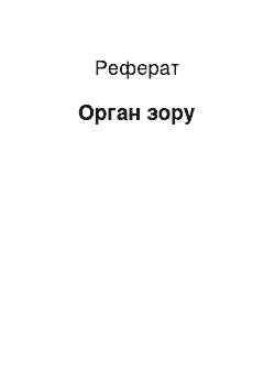 Реферат: Орган зору