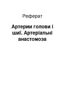 Реферат: Артерии голови і шиї. Артеріальні анастомоза